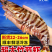 海鲜