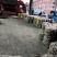 茨菇大中小