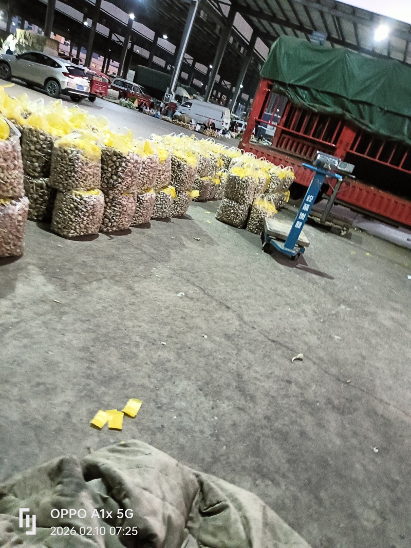 茨菇大中小