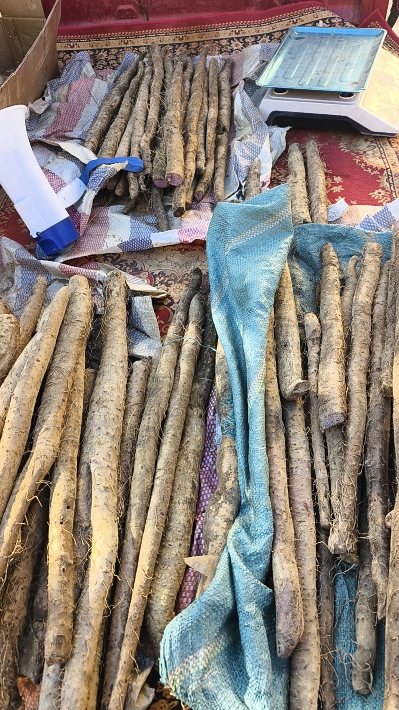 紫山药通货价，1斤以上的