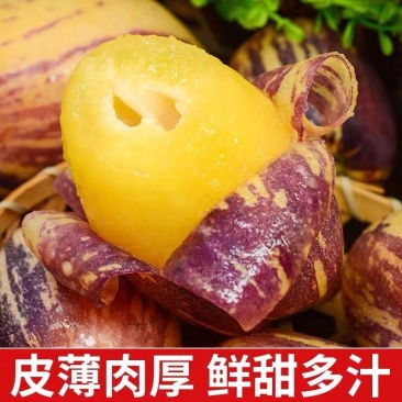 甘肃沙漠人参果