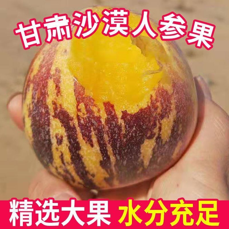 甘肃沙漠人参果