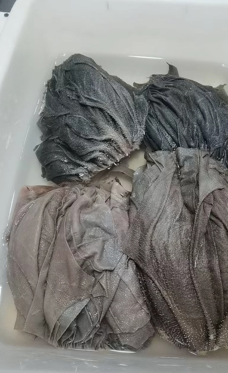 牛肚牛百叶一起卖鲜货现发