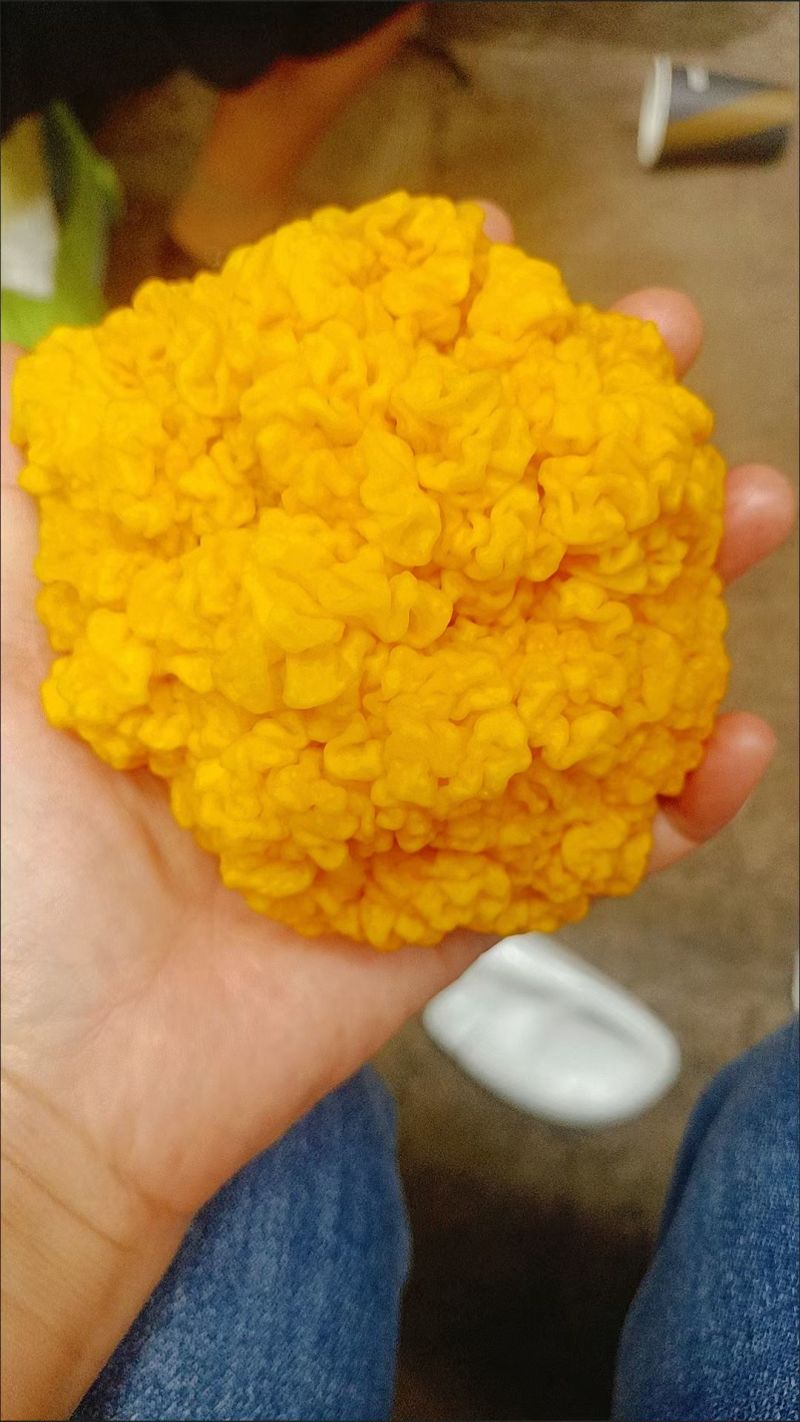 金耳鲜品，精品货，转色完全，大小均匀，色泽好。包邮。