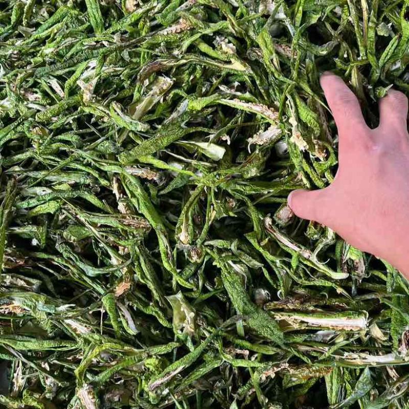 湖南特产精品青辣椒条辣椒干