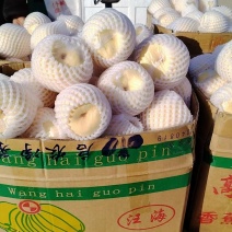 酥梨还有2万斤