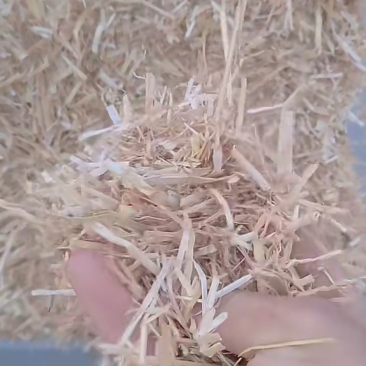 小麦秸秆