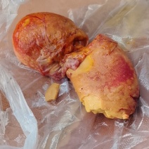 鸡宝