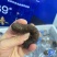 即食海参礼盒，满满一箱268