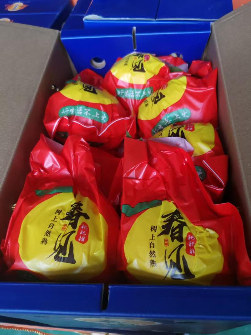 阿克苏苹果200箱，沙糖桔中果10斤120箱，耙耙柑1
