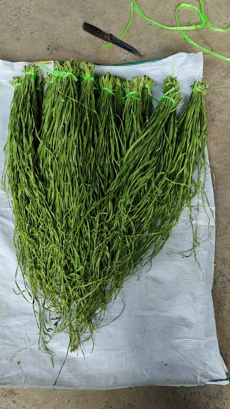 贡菜贡菜现货
