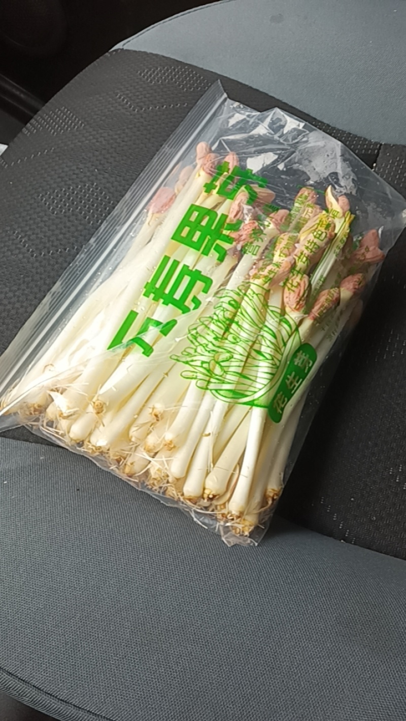 精品花生芽