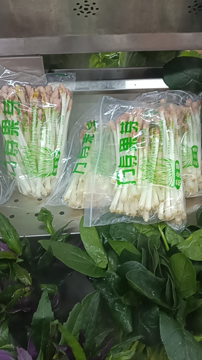 精品花生芽