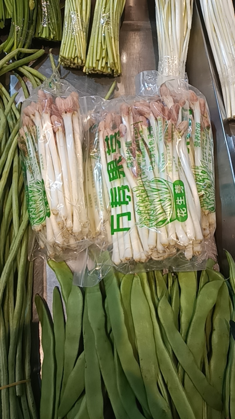 精品花生芽