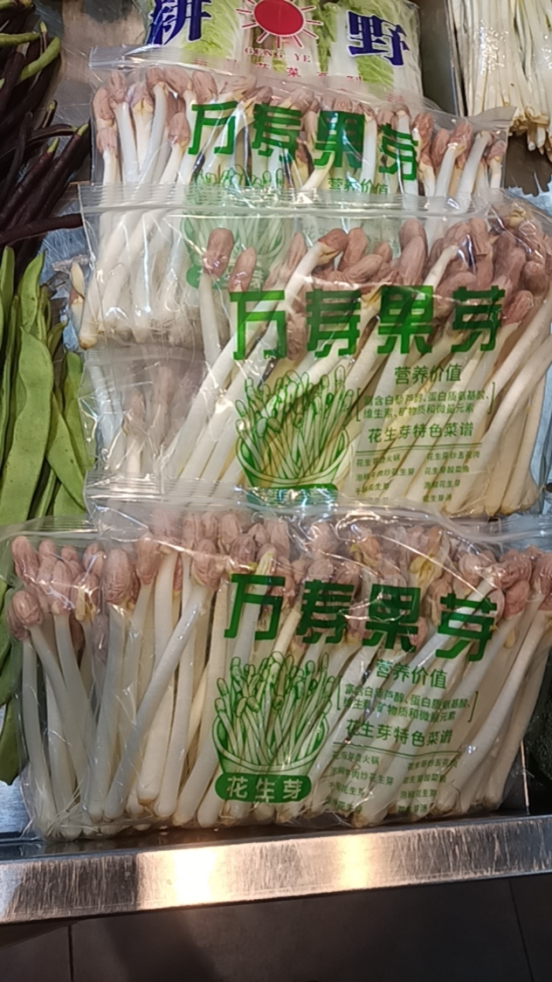 精品花生芽