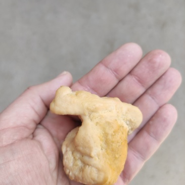 鸡宝