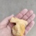 鸡宝