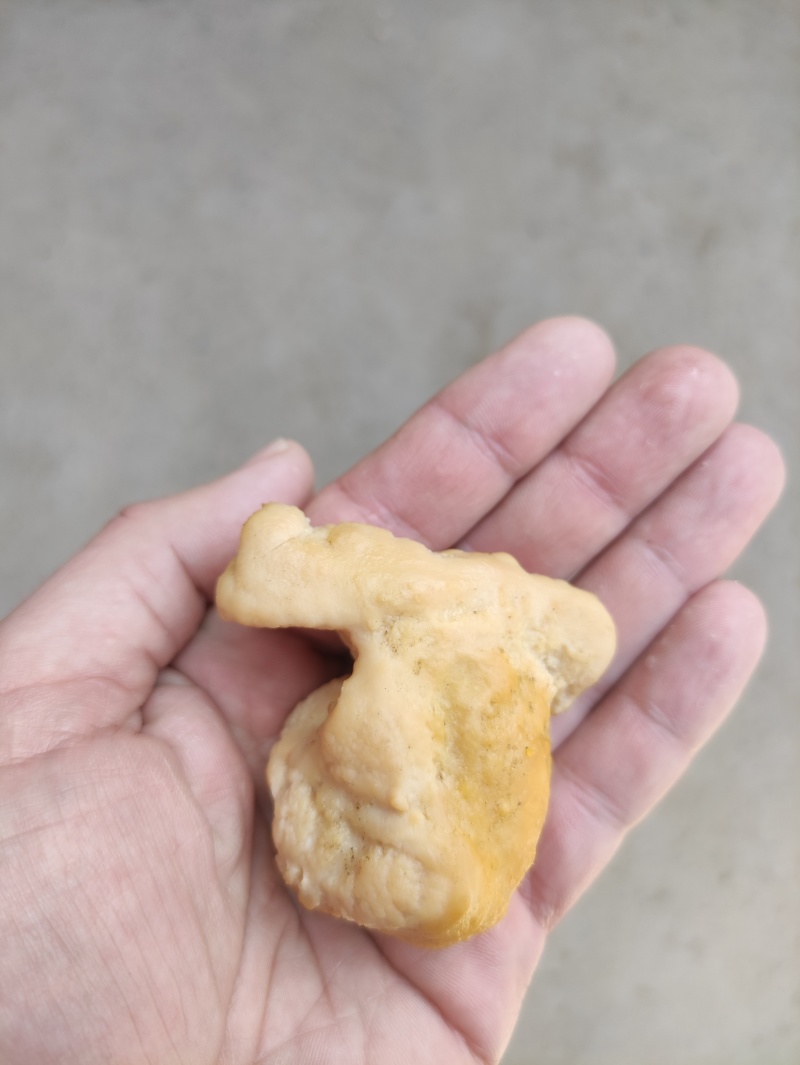 鸡宝