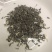 绿茶