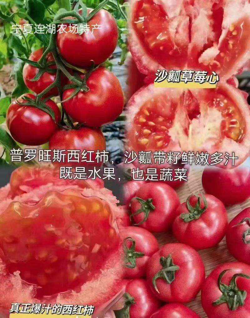 连湖普罗旺斯水果西红柿