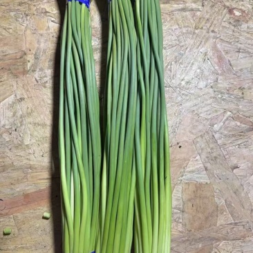 精品红帽蒜苔