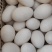 鹅蛋🥚
