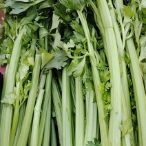 芹菜