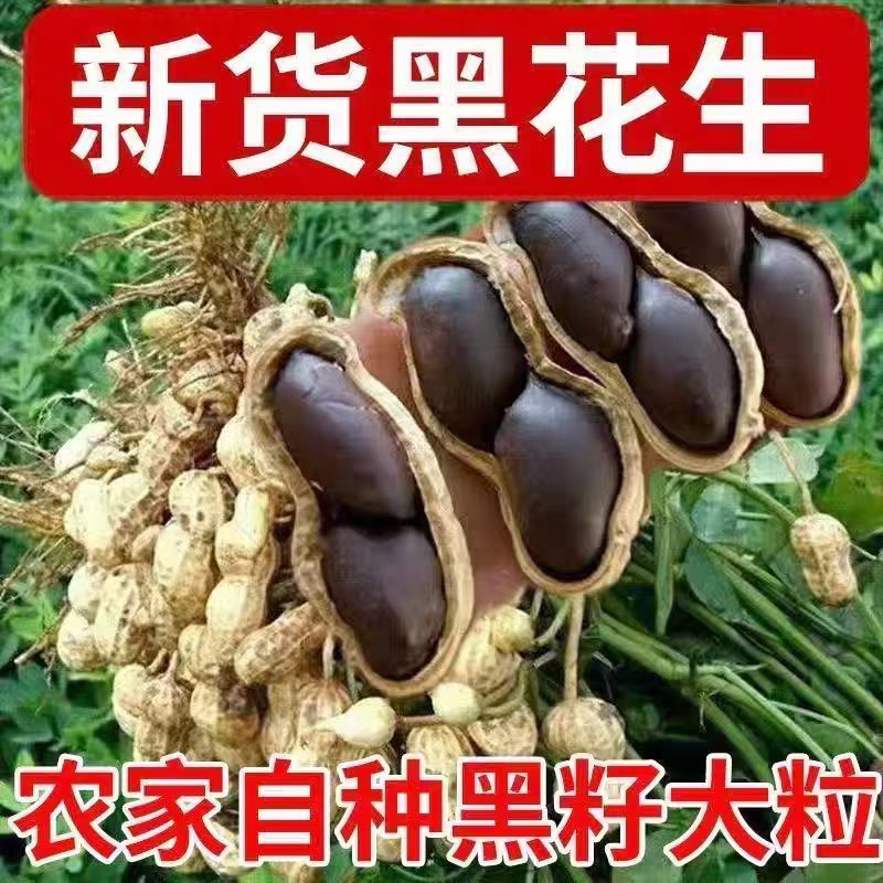 宁陵黑花生无任何加工。