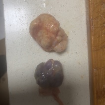 鸡宝