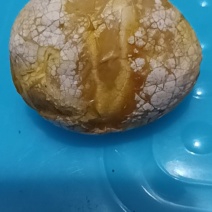 鸡神砂