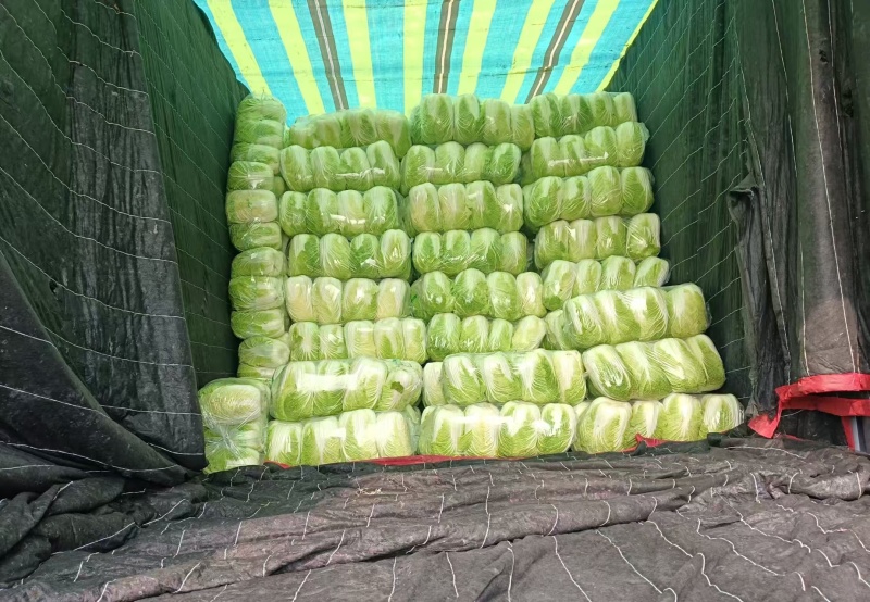 湖北黄心大白菜