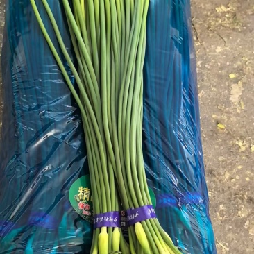 精品白帽蒜苔