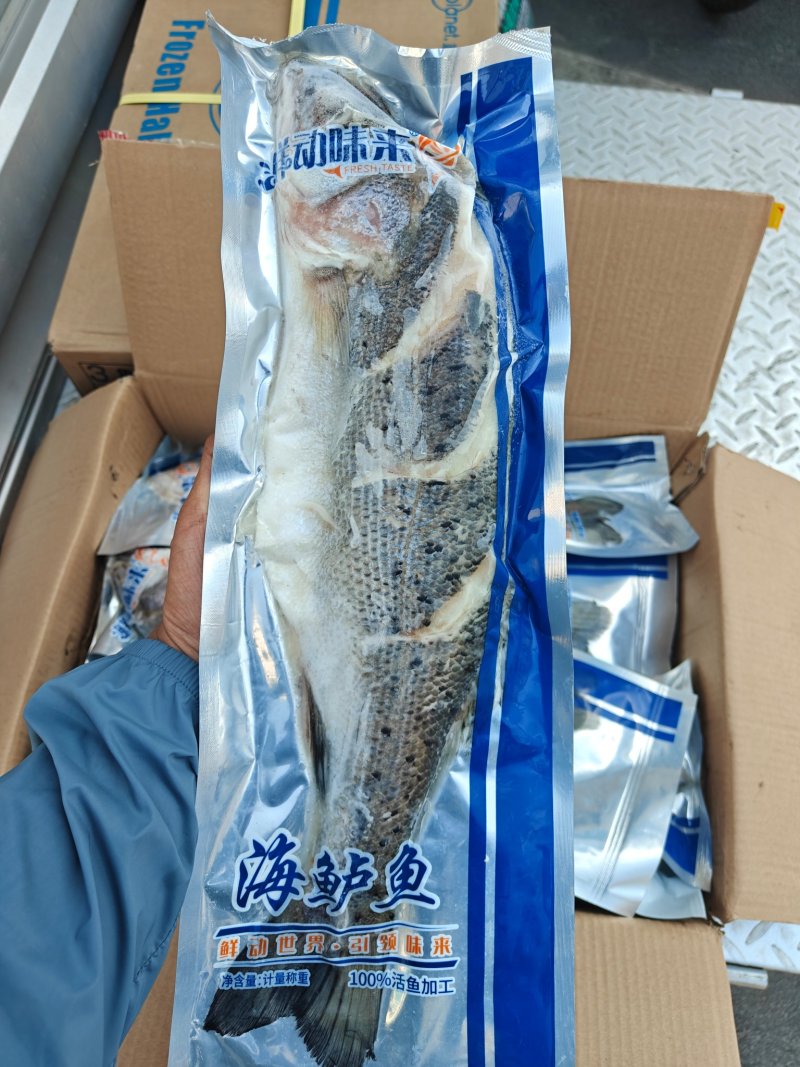 三去鲈鱼/开背鲈鱼/功夫鲈鱼三种规格鲈鱼到货
