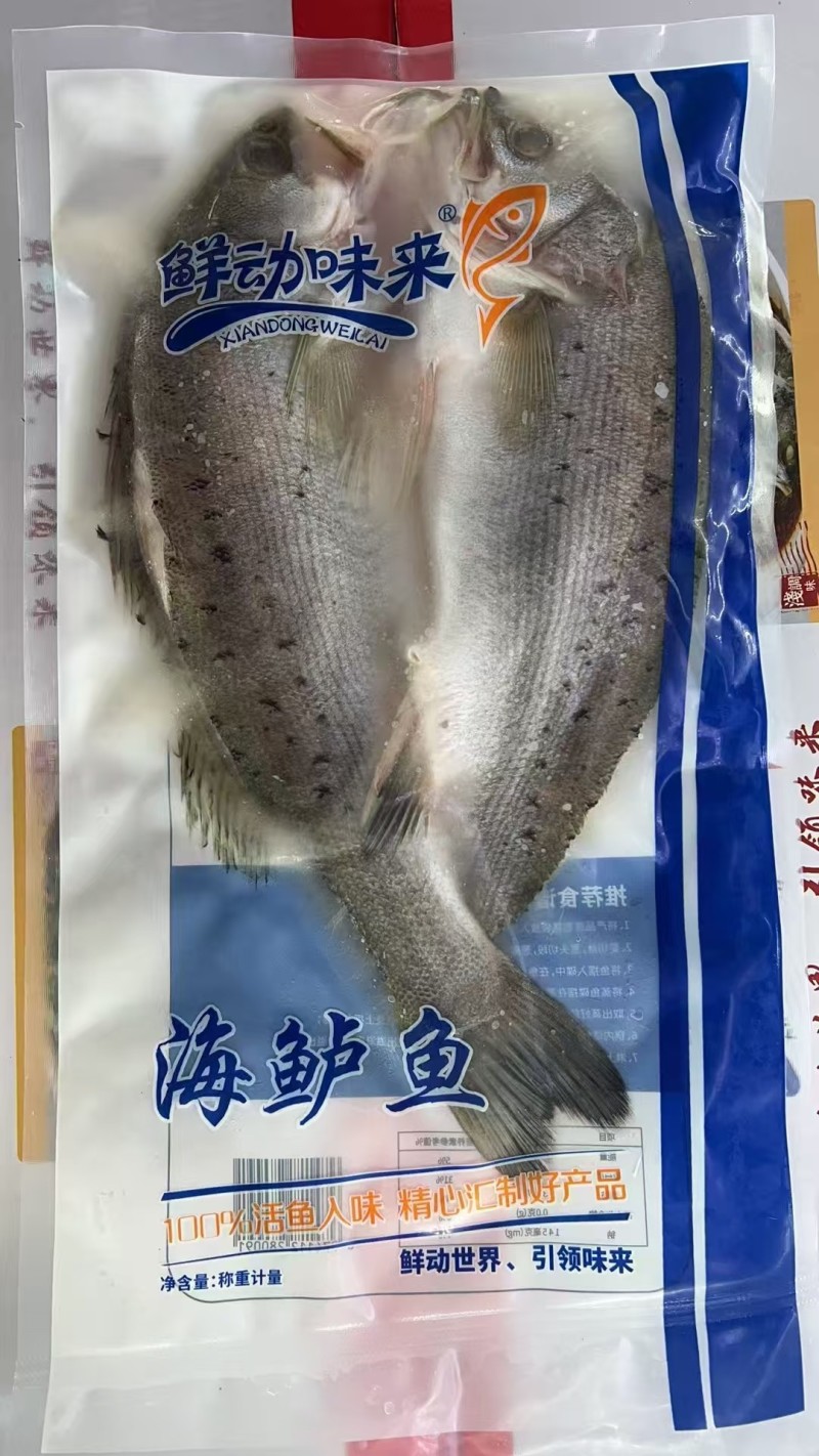 三去鲈鱼/开背鲈鱼/功夫鲈鱼三种规格鲈鱼到货