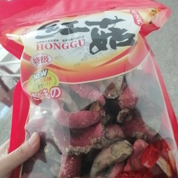 红菇