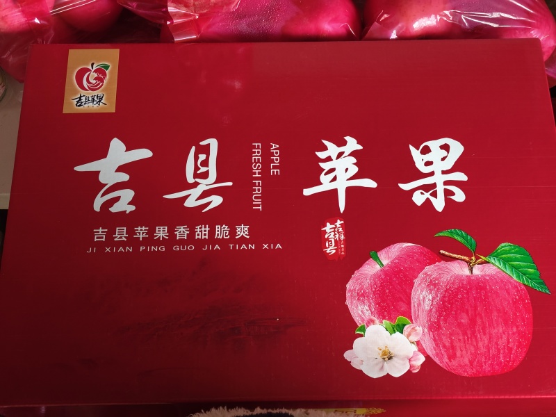 山西临汾，吉县苹果