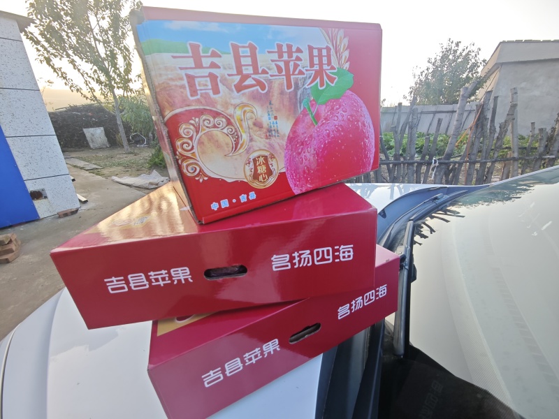山西临汾，吉县苹果