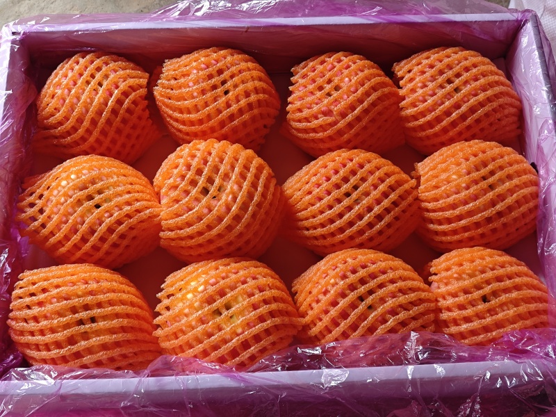 山西临汾，吉县苹果