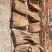 野生大山鸡血滕