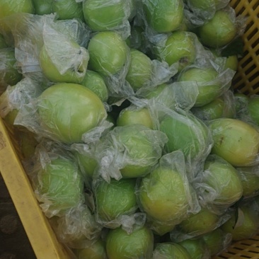 牛奶青枣