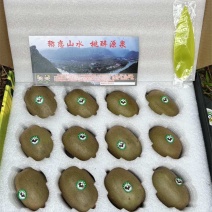 山东碧玉绿心猕猴桃礼盒装档口供应