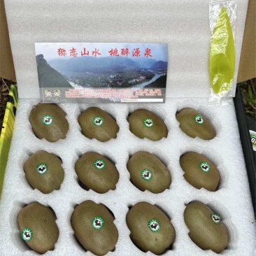 山东碧玉绿心猕猴桃礼盒装档口供应