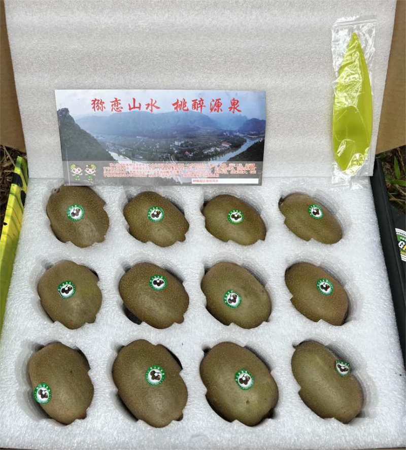 山东碧玉绿心猕猴桃礼盒装档口供应