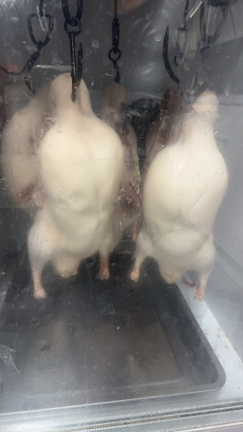 烤鸭胚