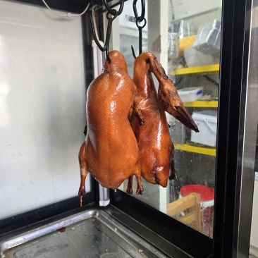 烤鸭胚