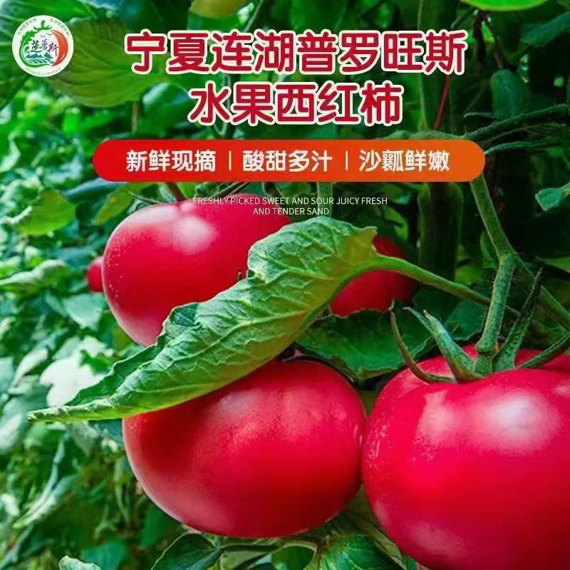 连湖普罗旺斯水果西红柿