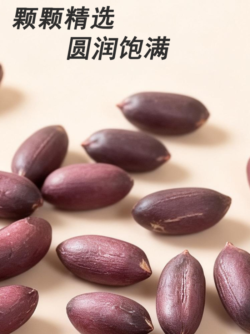 黑花生紫衣花生
