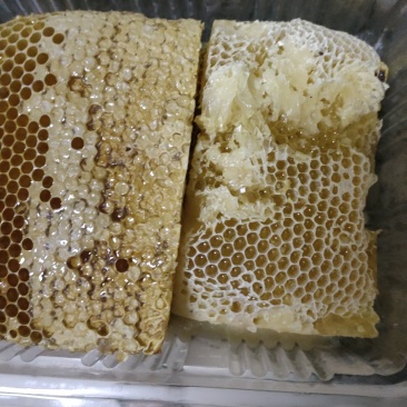 天然土蜂蜜