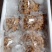 常年供应竹笋虫（鲜虫、冻虫、烤串虫）