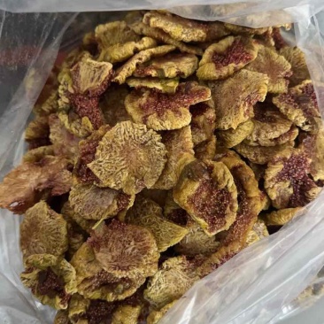 青皮无花果干，无花果条